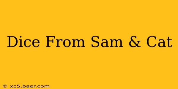 Dice From Sam & Cat