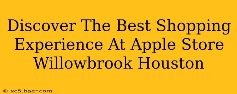 Discover The Best Shopping Experience At Apple Store Willowbrook Houston