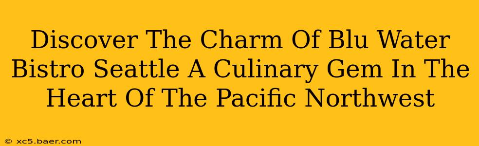 Discover The Charm Of Blu Water Bistro Seattle A Culinary Gem In The Heart Of The Pacific Northwest