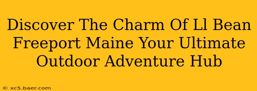 Discover The Charm Of Ll Bean Freeport Maine Your Ultimate Outdoor Adventure Hub