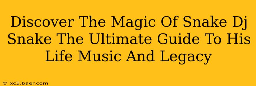 Discover The Magic Of Snake Dj Snake The Ultimate Guide To His Life Music And Legacy