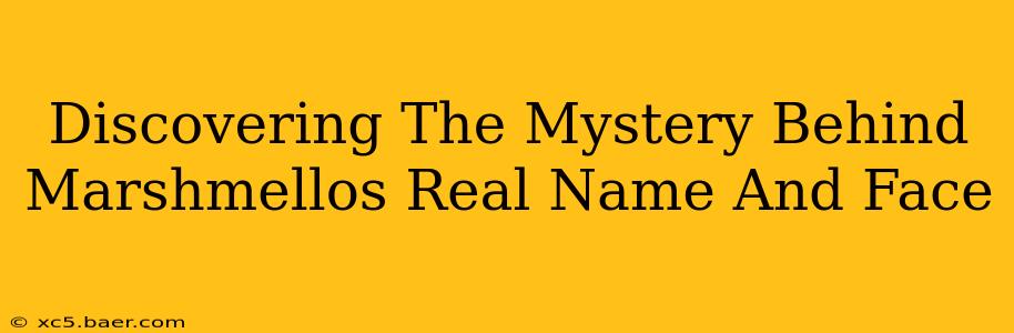 Discovering The Mystery Behind Marshmellos Real Name And Face