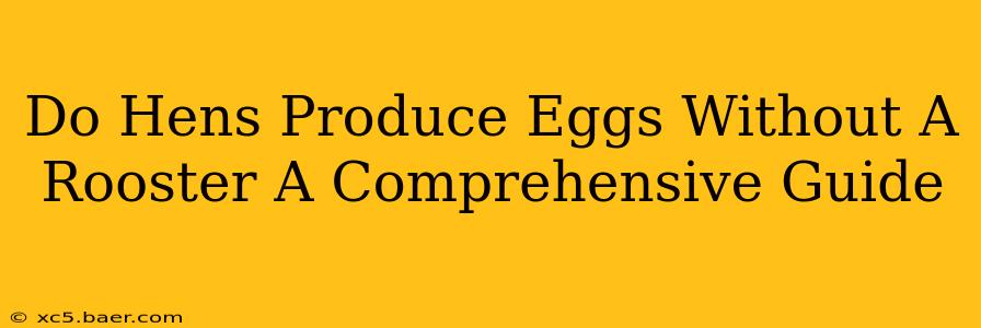 Do Hens Produce Eggs Without A Rooster A Comprehensive Guide
