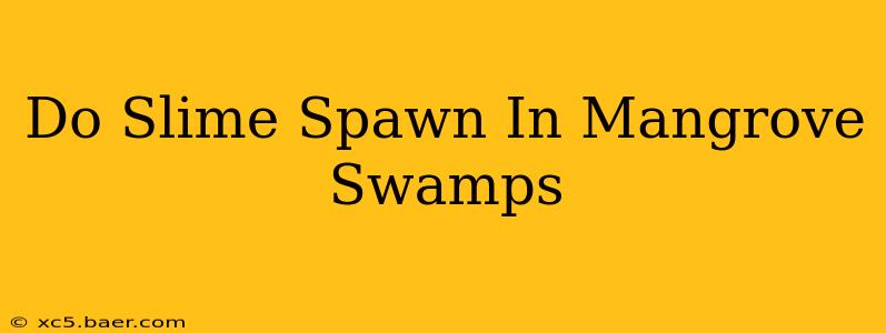 Do Slime Spawn In Mangrove Swamps