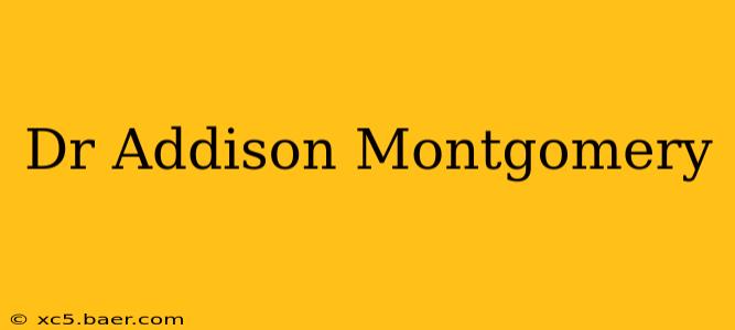 Dr Addison Montgomery