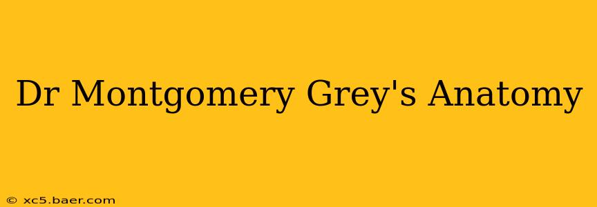 Dr Montgomery Grey's Anatomy