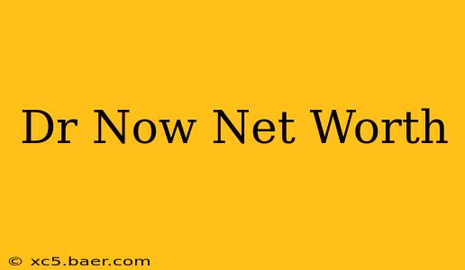 Dr Now Net Worth