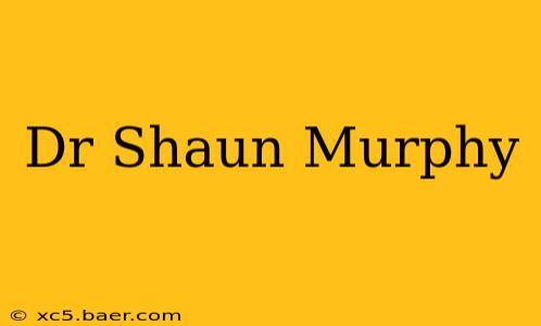 Dr Shaun Murphy