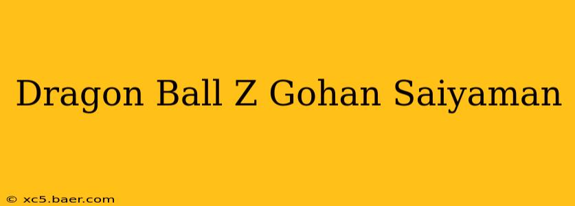 Dragon Ball Z Gohan Saiyaman