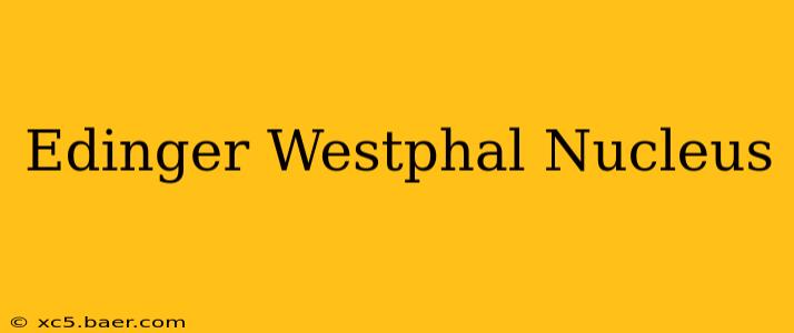 Edinger Westphal Nucleus