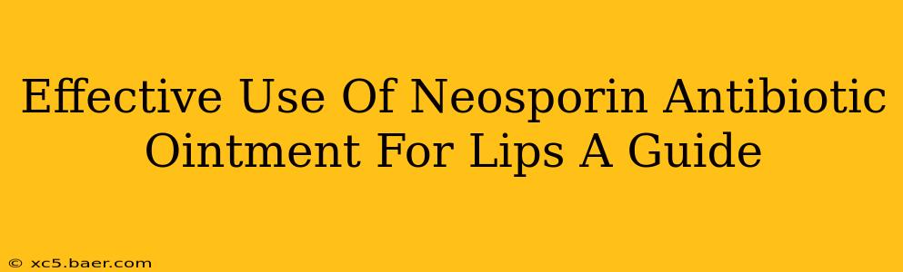 Effective Use Of Neosporin Antibiotic Ointment For Lips A Guide