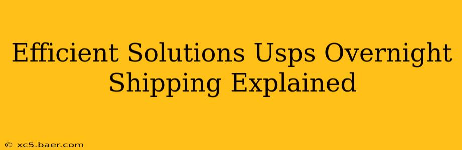 Efficient Solutions Usps Overnight Shipping Explained
