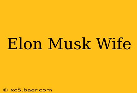 Elon Musk Wife