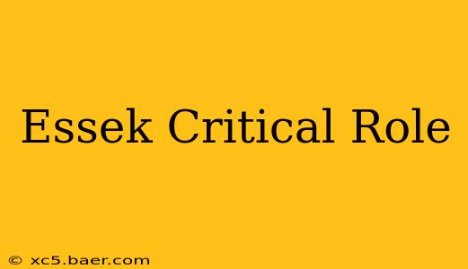 Essek Critical Role