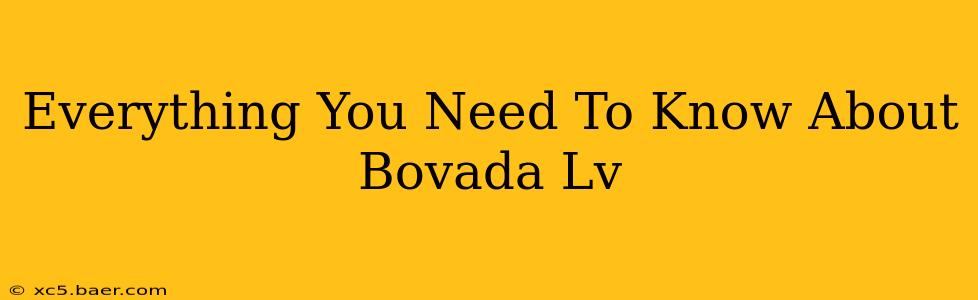 Everything You Need To Know About Bovada Lv
