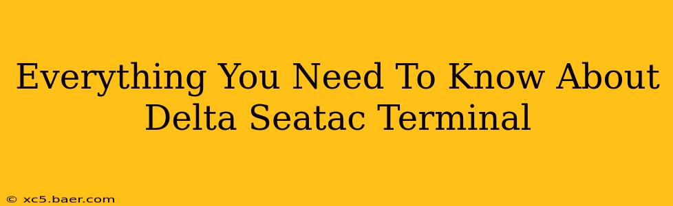 Everything You Need To Know About Delta Seatac Terminal