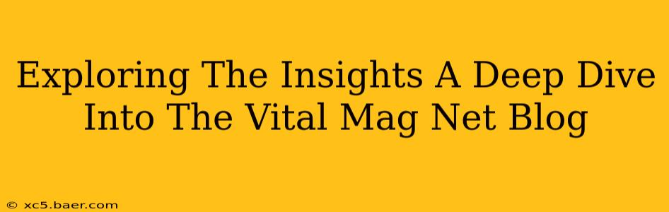 Exploring The Insights A Deep Dive Into The Vital Mag Net Blog