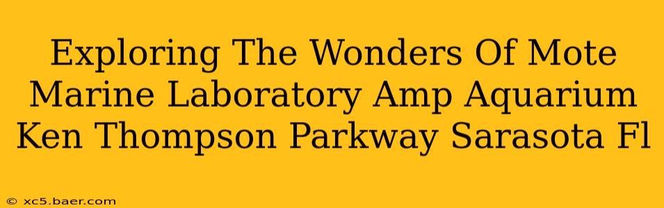 Exploring The Wonders Of Mote Marine Laboratory Amp Aquarium Ken Thompson Parkway Sarasota Fl