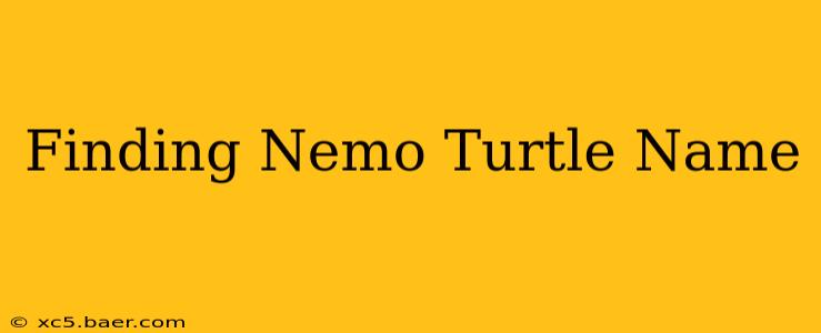 Finding Nemo Turtle Name