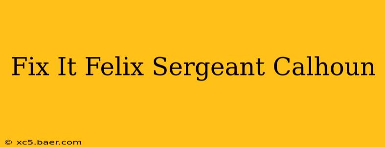 Fix It Felix Sergeant Calhoun