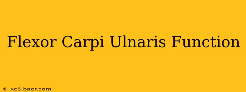Flexor Carpi Ulnaris Function