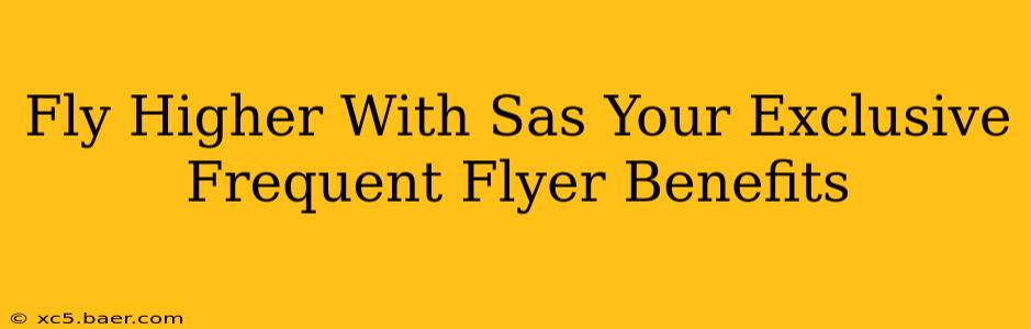 Fly Higher With Sas Your Exclusive Frequent Flyer Benefits