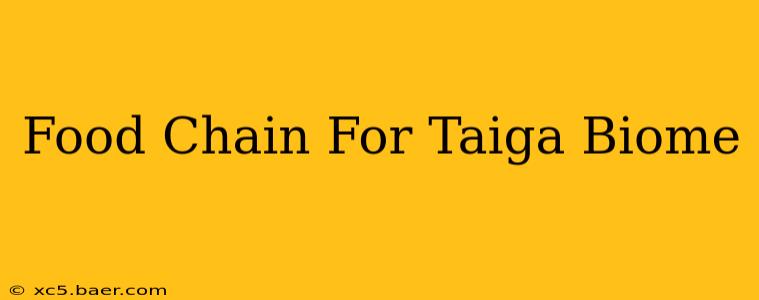 Food Chain For Taiga Biome