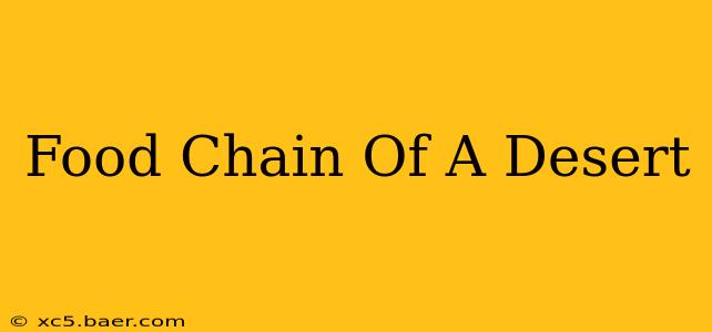 Food Chain Of A Desert