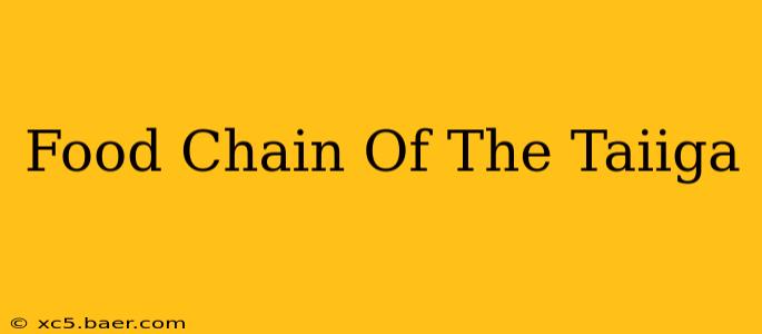 Food Chain Of The Taiiga
