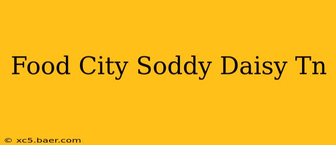 Food City Soddy Daisy Tn