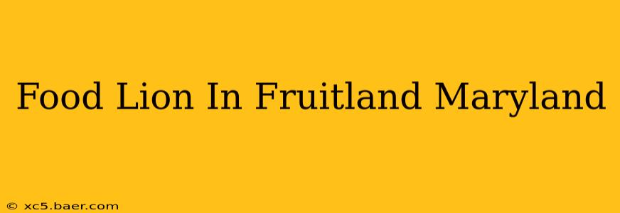 Food Lion In Fruitland Maryland