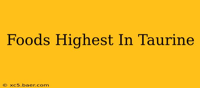 Foods Highest In Taurine
