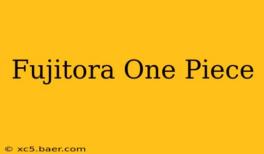 Fujitora One Piece