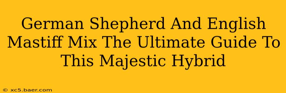 German Shepherd And English Mastiff Mix The Ultimate Guide To This Majestic Hybrid