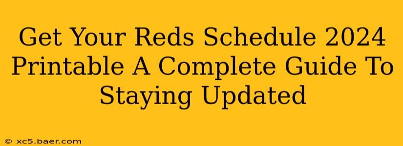 Get Your Reds Schedule 2024 Printable A Complete Guide To Staying Updated
