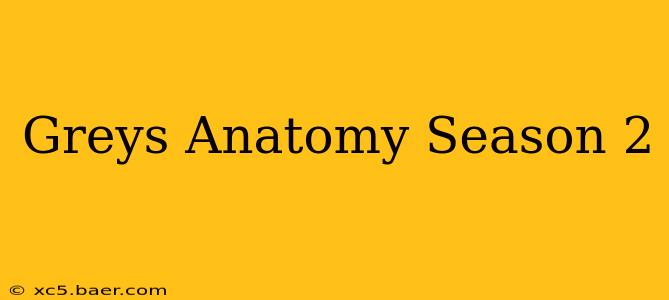 Greys Anatomy Season 2