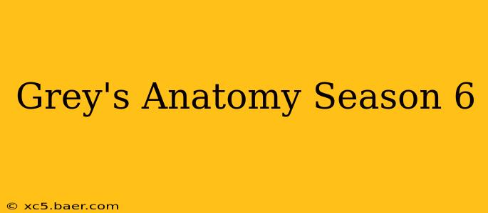 Grey's Anatomy Season 6