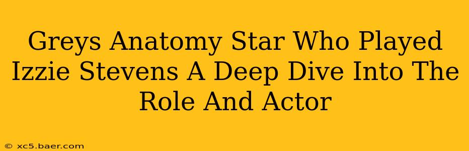 Greys Anatomy Star Who Played Izzie Stevens A Deep Dive Into The Role And Actor
