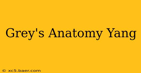 Grey's Anatomy Yang