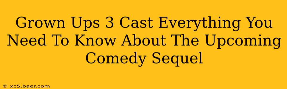 Grown Ups 3 Cast Everything You Need To Know About The Upcoming Comedy Sequel
