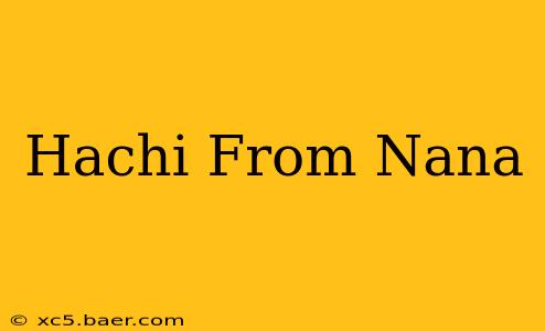 Hachi From Nana