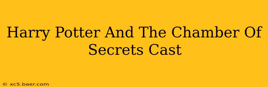 Harry Potter And The Chamber Of Secrets Cast