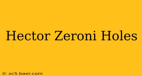 Hector Zeroni Holes