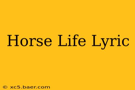 Horse Life Lyric