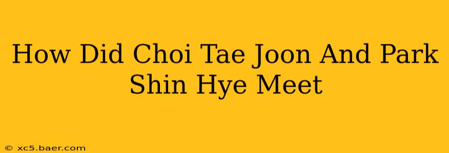 How Did Choi Tae Joon And Park Shin Hye Meet
