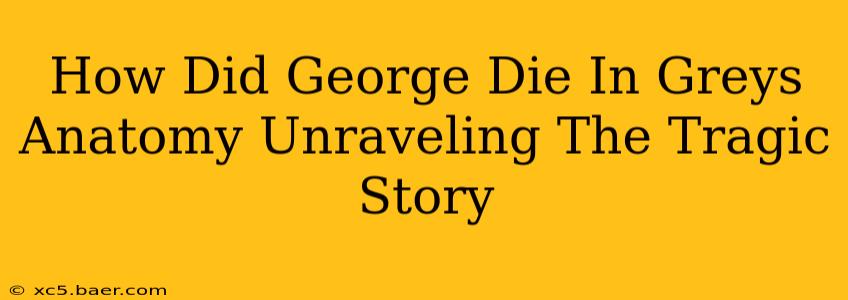 How Did George Die In Greys Anatomy Unraveling The Tragic Story