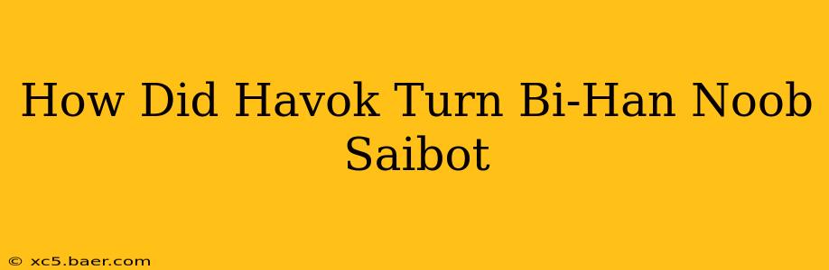 How Did Havok Turn Bi-Han Noob Saibot