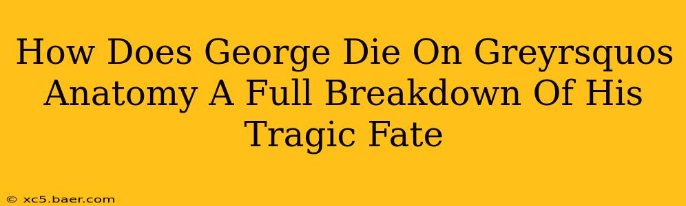 How Does George Die On Greyrsquos Anatomy A Full Breakdown Of His Tragic Fate