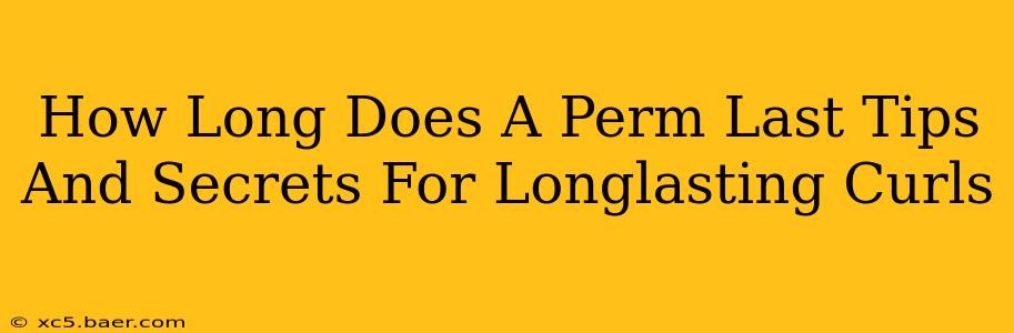 How Long Does A Perm Last Tips And Secrets For Longlasting Curls