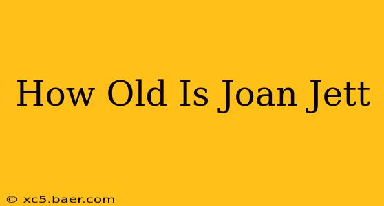 How Old Is Joan Jett